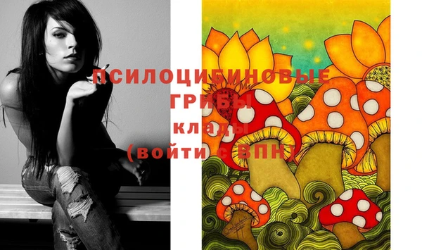 стафф Нязепетровск