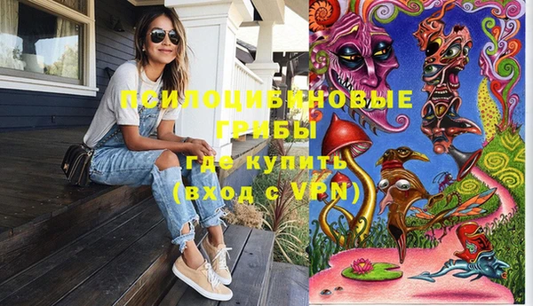 бутират Няндома