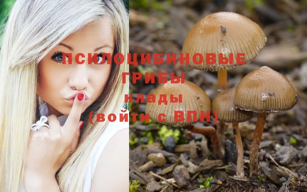стафф Нязепетровск