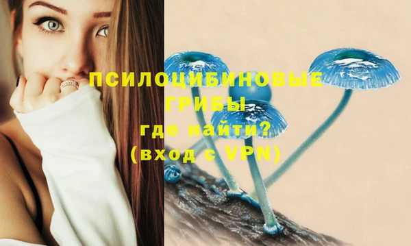 бутират Няндома