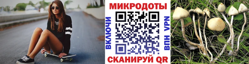 Галлюциногенные грибы прущие грибы  Купить  Кораблино 